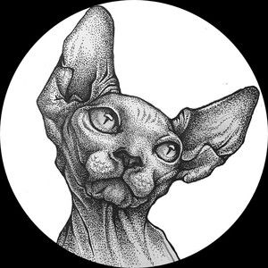 Meet your Posher, Carolyn